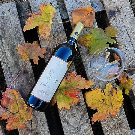 Djukic Winery * بودغوريتْسا