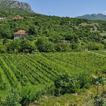 Djukic Winery شقة