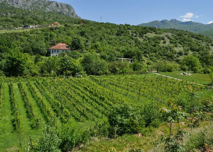 Djukic Winery Appartement